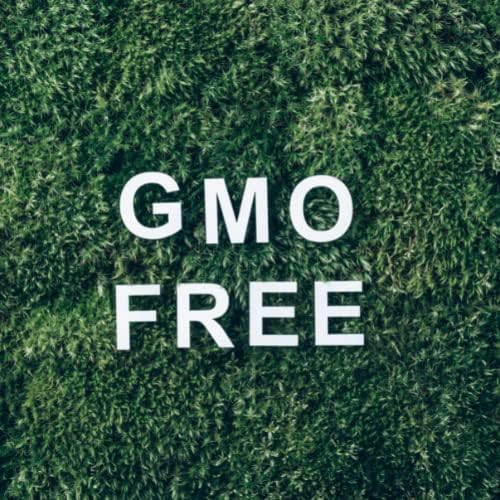רגעים מיסטיים | שומר שמן חיוני מתוק שומר 1 קג - שמן טהור וטבעי למפזרים, ארומתרפיה ועיסוי תערובות טבעוניות GMO בחינם